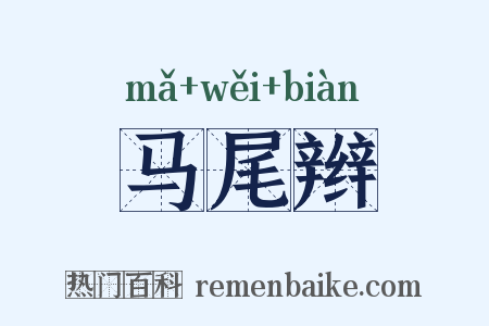 马尾辫是什么意思的图片